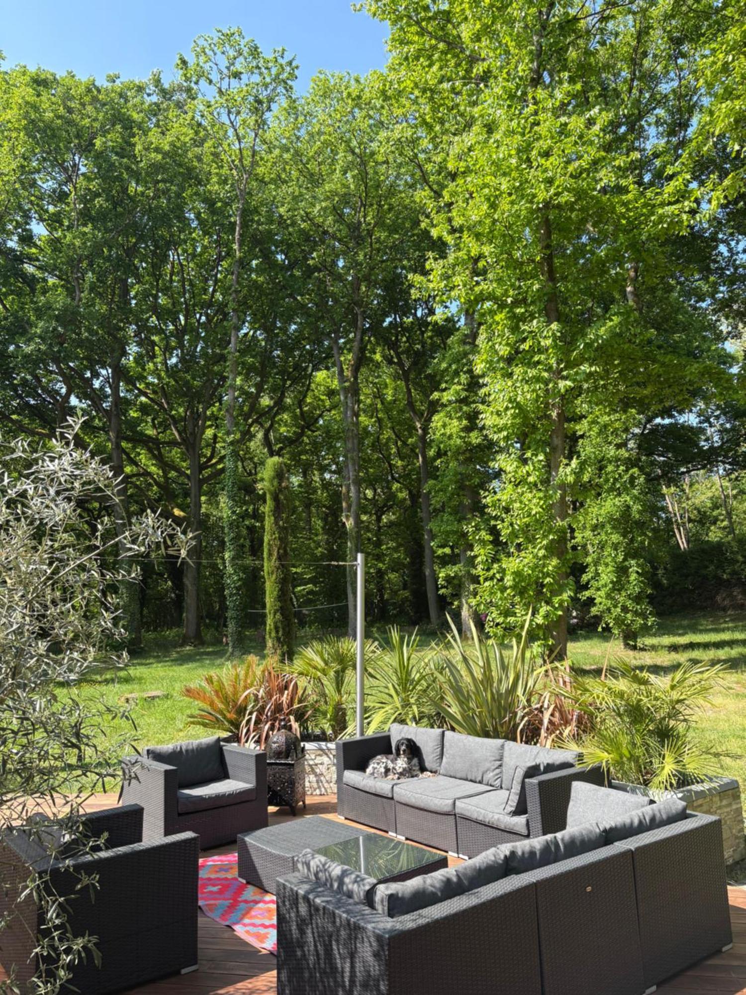 Somptueuse Villa D'Architecte Rochefort-en-Yvelines Dış mekan fotoğraf